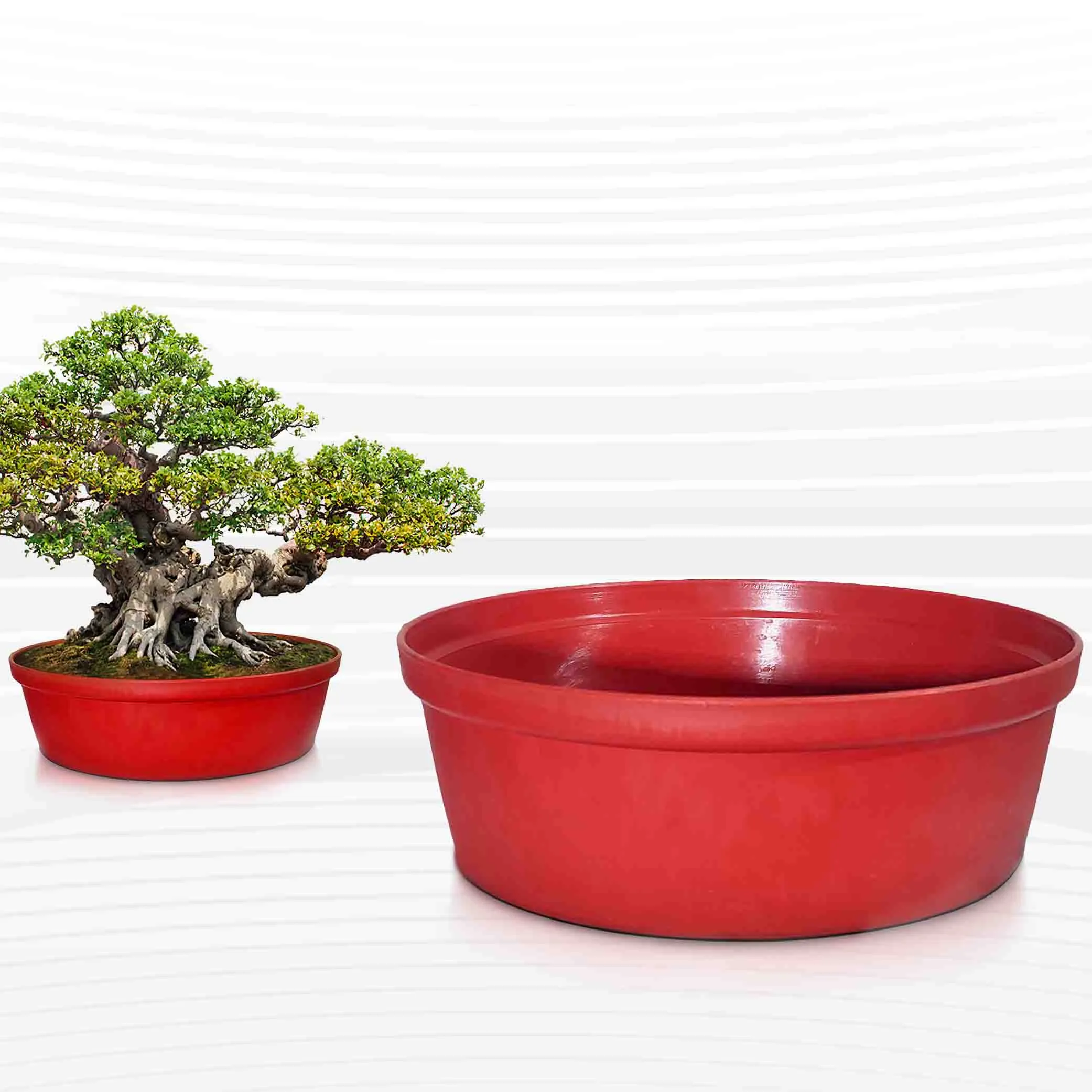 9.5 Inch Bonsai Tub