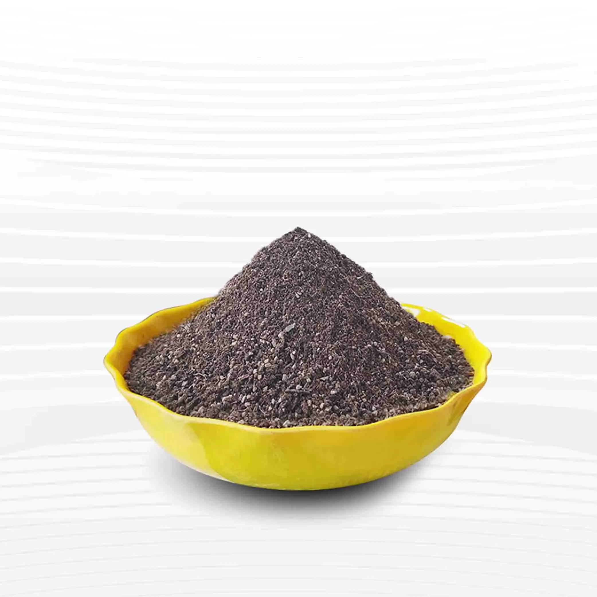 Indoor Potting Mix - 1Kg