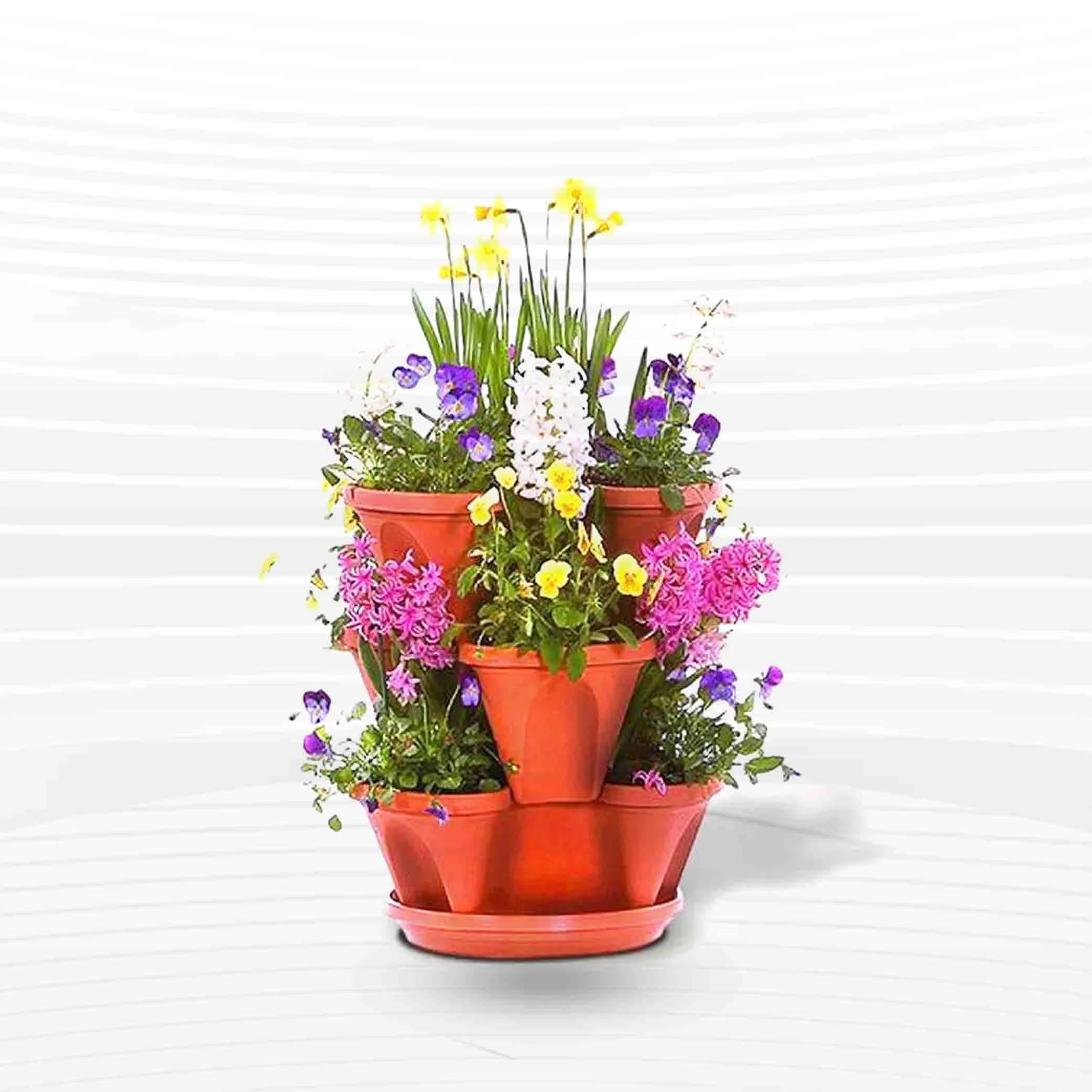 Lotus Flower Tub With Tray