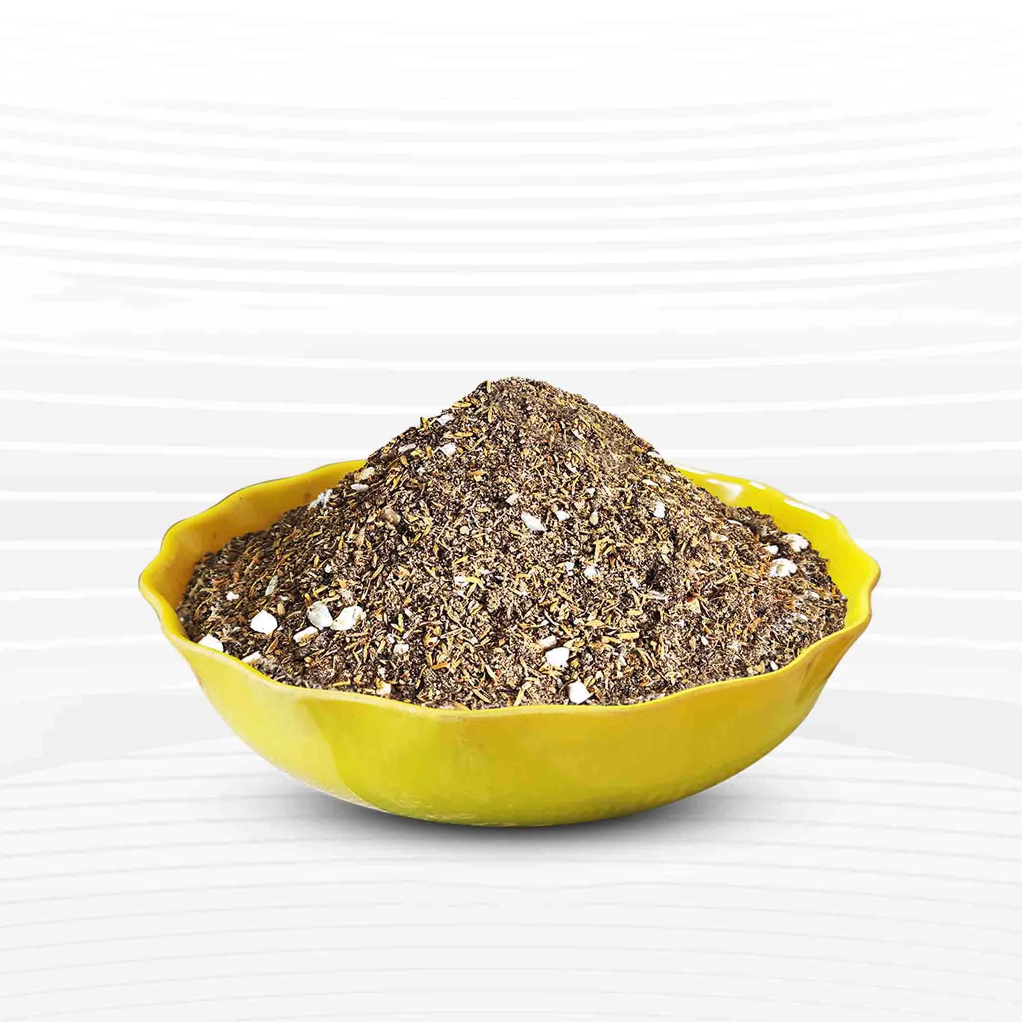 Poting mix for Cactus & Succulents - 1 kg